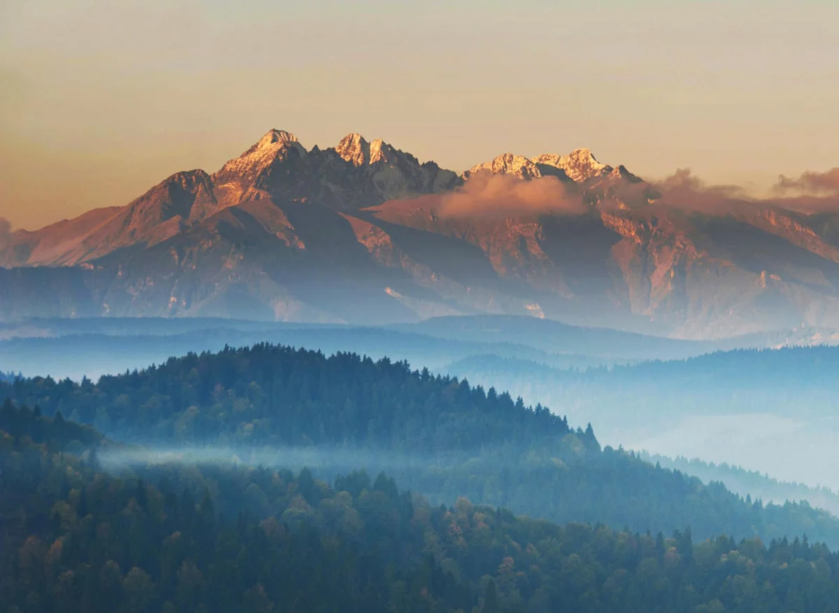 Ochrona środowiska dla firm w Polsce: Wyzwania, regulacje i najlepsze praktyki
