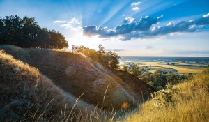 AGD - nowa jakość życia w domu: innowacyjne rozwiązania dla wygody i komfortu