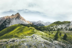 Ochrona środowiska w firmie – Klucz do zrównoważonego rozwoju i odpowiedzialności społecznej