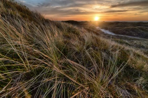 Kursy przedsiębiorczości: Klucz do sukcesu w dynamicznym świecie biznesu