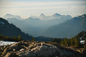 Elektronika - kluczowa branża dla rozwoju nowoczesnego świata