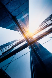 Nauka wegańskiego gotowania: Kluczowe techniki i przepisy dla początkujących